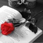Día del libro 