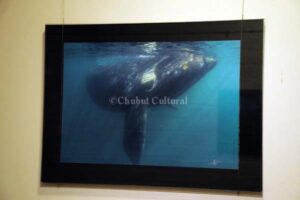 Steven Johnson expone.