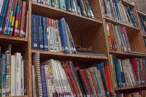 biblioteca pedagogica (1)