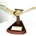         Premio “Gaviota de Oro” LITERARIA