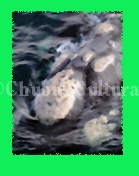 PM 2010 convoca a artistas