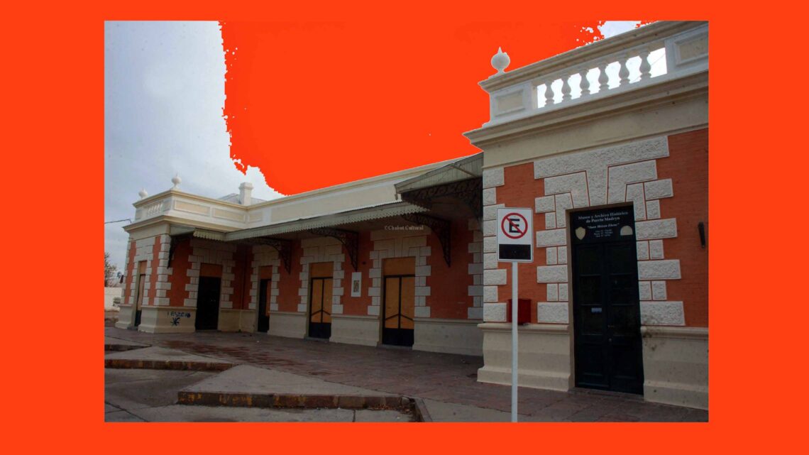 Día Mundial de la Paz con una muestra