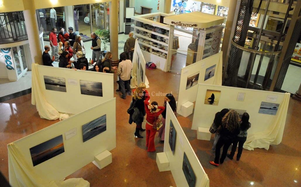 » Singular es……….» Ya esta en El Portal