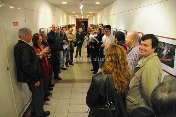 » Plumas sobre el mar » Expone en el auditorium
