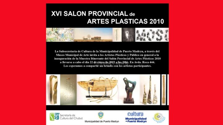 XVI Salon Provincial de Artes Plasticas 2010