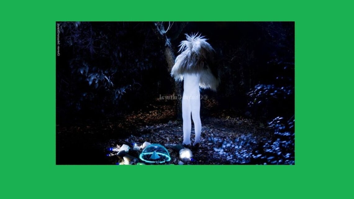 Taller de Fotografia en Puerto Madryn