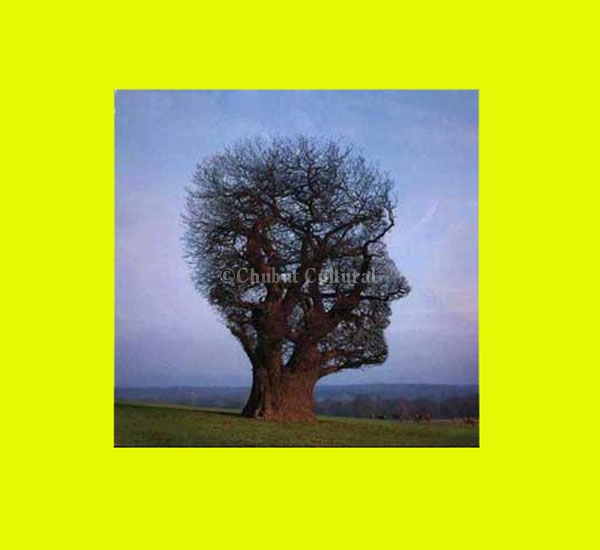 21 de marzo Dia Mundial de la Poesia