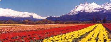 FERIA TEMÁTICA DEL LIBRO EN TREVELIN