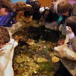 Los niños pueden disfrutar del verano en el Ecocentro 