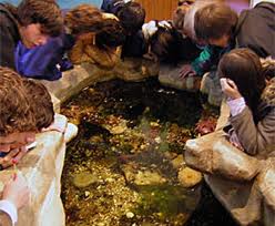 Los niños pueden disfrutar del verano en el Ecocentro