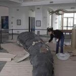 VUELVE EL GALLERY NIGTH A MADRYN