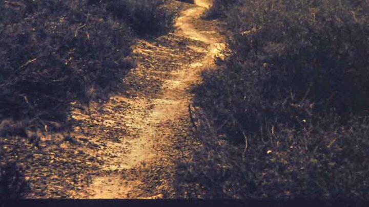 Palacios-Muñiz presentaron su CD «Peregrino»