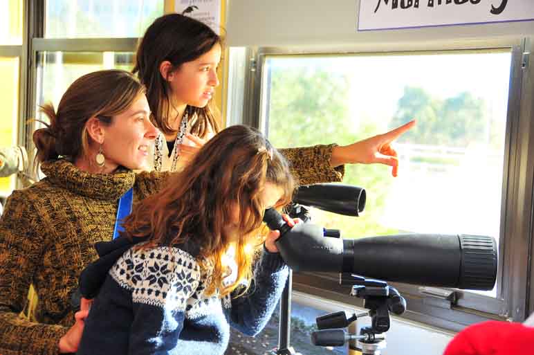 CENPAT ABIERTO: MIRADAS CURIOSAS POR TODOS LADOS