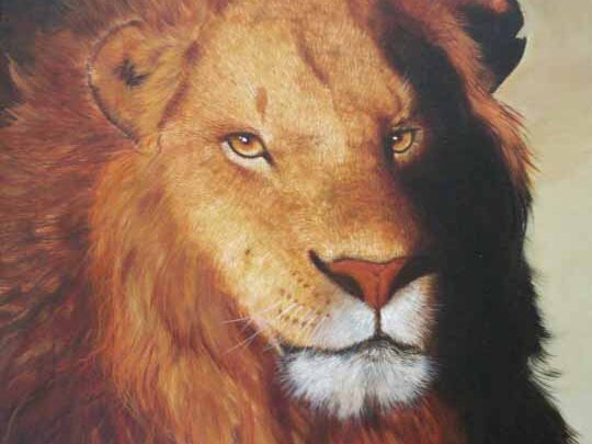 Muestra de arte de Leopoldo Maragno