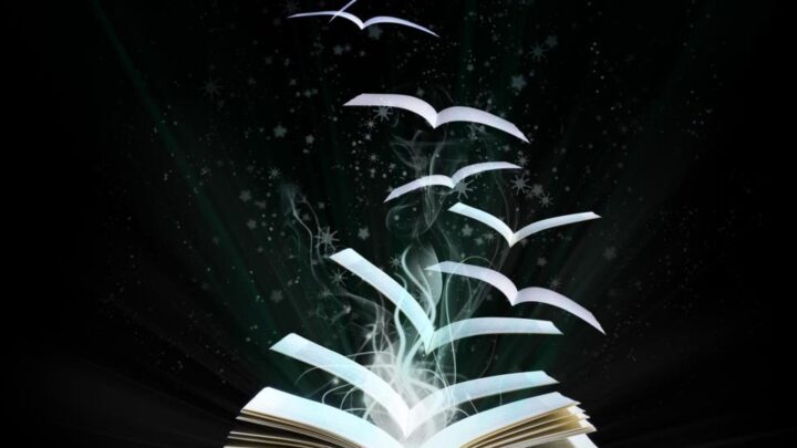 «Promoción de la lectura» y «Encuadernación y reparación de libros»