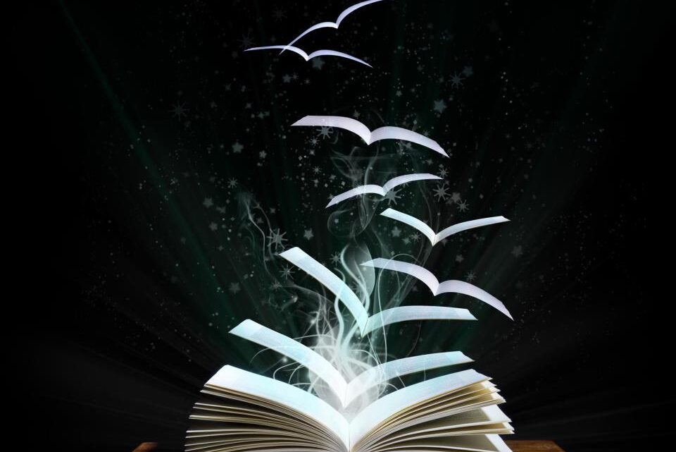 «Promoción de la lectura» y «Encuadernación y reparación de libros»