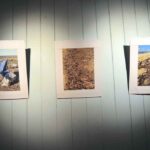 pag muestra museo (2)