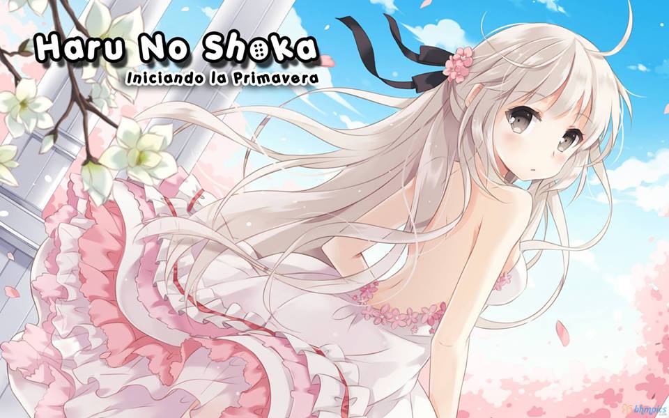 HARU NO SHOKA POR LA BIBLIOTECA BRAILE PARLANTE DE MADRYN