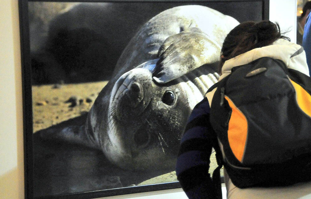 ANDRÉS BONETTI: «LA PATAGONIA ES INAGOTABLE»