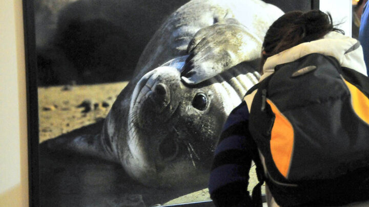 ANDRÉS BONETTI: «LA PATAGONIA ES INAGOTABLE»