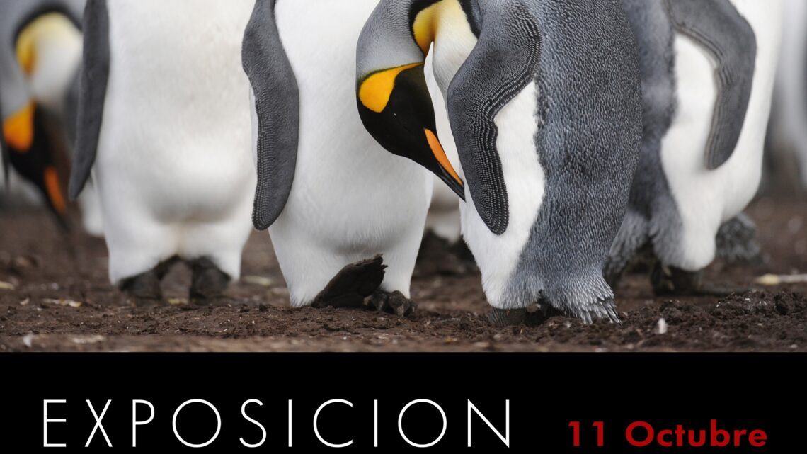 Andrés Bonetti expondrá imágenes de su libro Patagonia