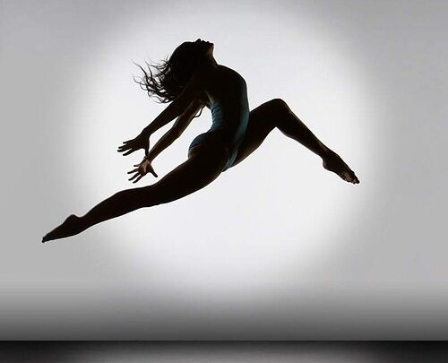 Se presentará «Fly» con figuras del Teatro Colón