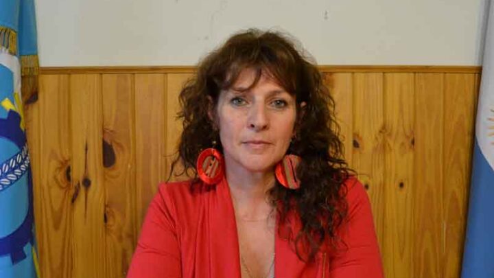 Trevelin  y la 7º Feria del Libro «Había una vez»