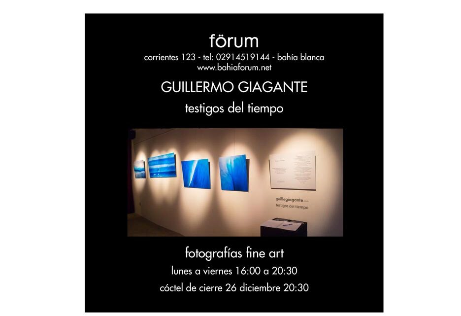 GUILLERMO GIAGANTE  «Testigos del tiempo»