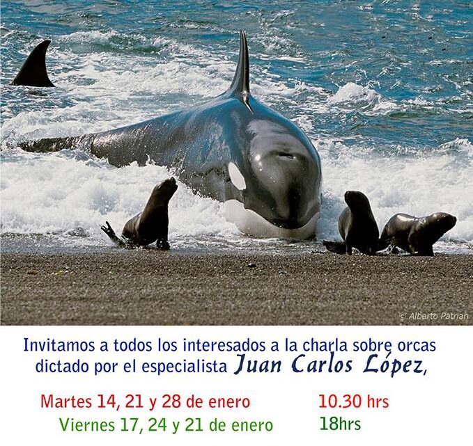 CICLO DE CHARLAS: UN DELFIN LLAMADO ORCA