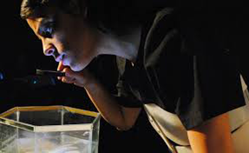 EL GRUPO CEBRAS TEATRO PRESENTA SU OBRA “ HEIKE “