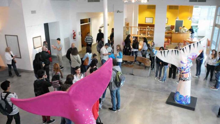 ECOCENTRO ABIERTO Y UN ABRAZO AL GOLFO