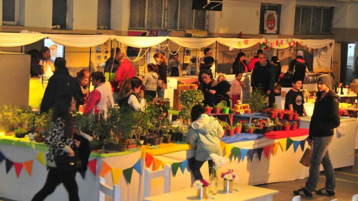 DESPERTAR EL PALADAR: FERIA EN MADRYN AL PLATO