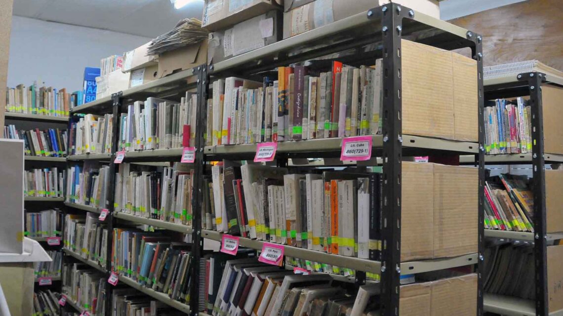 HOY SE CONMEMORA EN ARGENTINA EL “DIA DEL BIBLIOTECARIO “