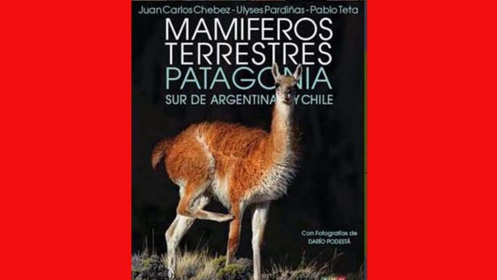 SE PRESENTARÁ  EN EL CENPAT “ MAMIFEROS TERRESTRES DE LA PATAGONIA “