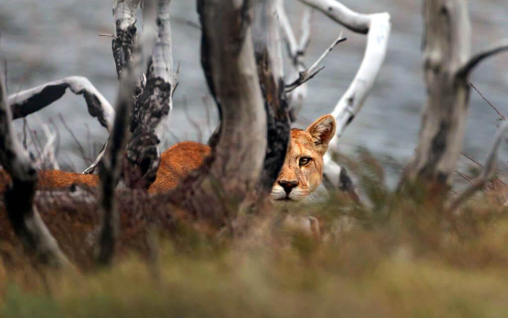 CENPAT PRESENTA «CIENCIA EN FOCO»