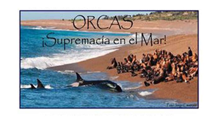 “ORCAS SUPREMACÍA EN EL MAR”  POR JC LOPEZ