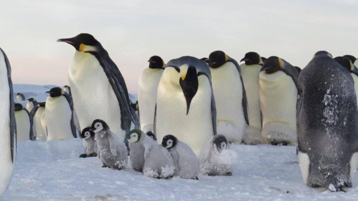 CIENCIA EN FOCO SALE DE GIRA HACIA PLAYA UNION