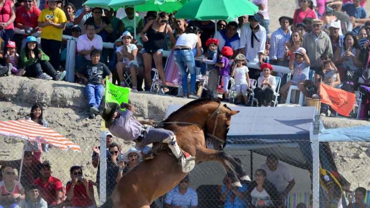 CULMINO LA FIESTA NACIONAL DEL CORDERO
