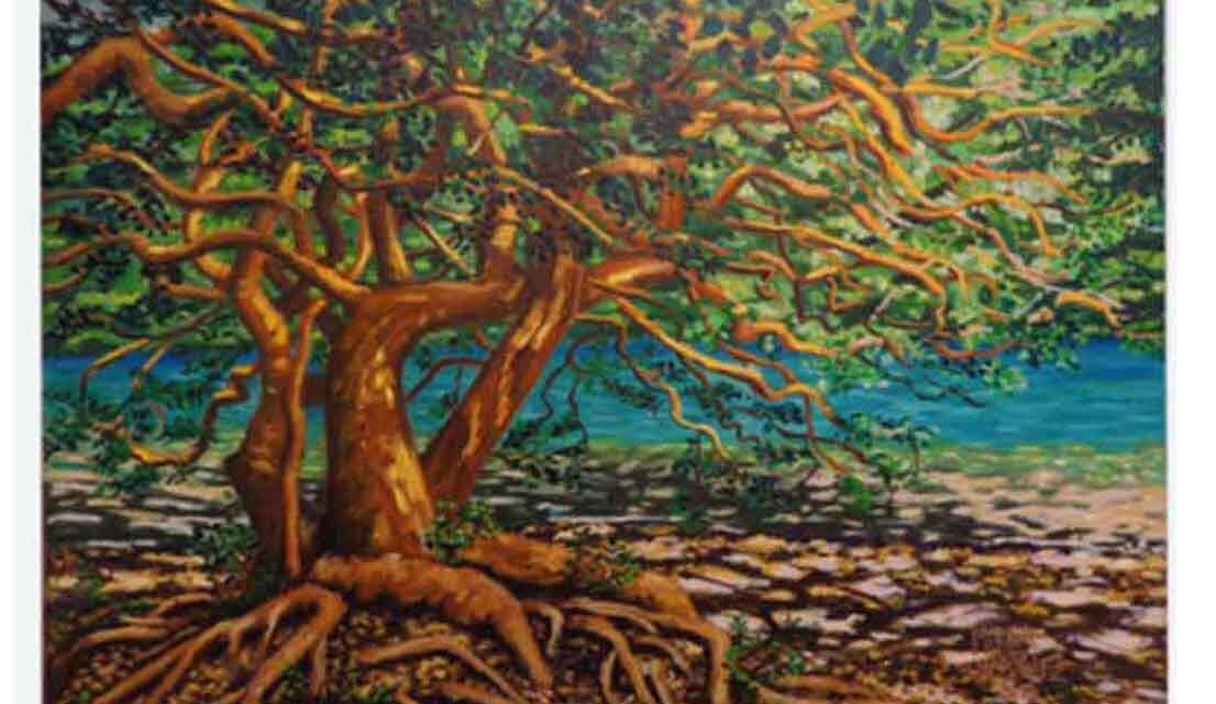 MIRELLA MARTINEZ INAUGURA “PATAGONIA FANTASY” EN BUENOS AIRES