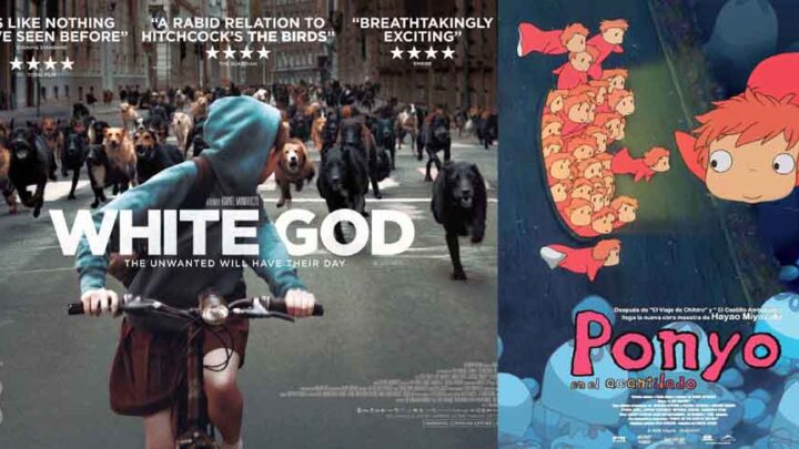CICLO DE CINE “BAJO LAS ESTRELLAS” EN EL PARADOR MUNICIPAL