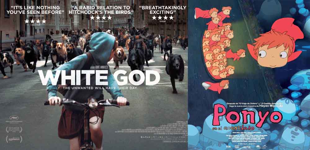 CICLO DE CINE “BAJO LAS ESTRELLAS” EN EL PARADOR MUNICIPAL