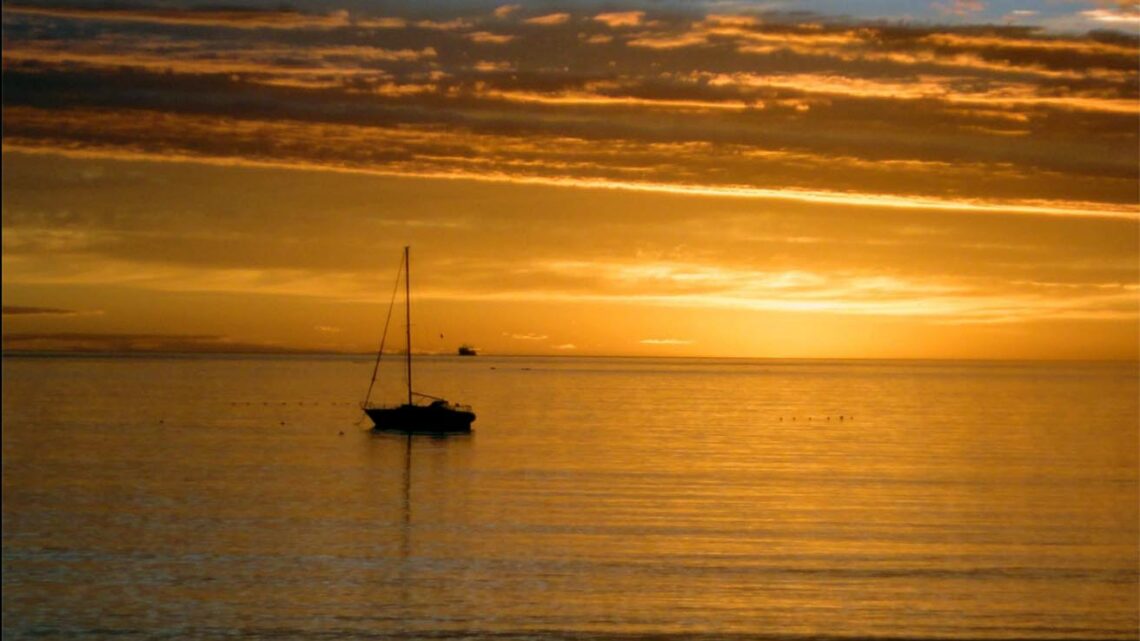 BAUER EXPONE EN EL HALL DE LA COOPERATIVA «SENTIRES…Y ALGO MAS»