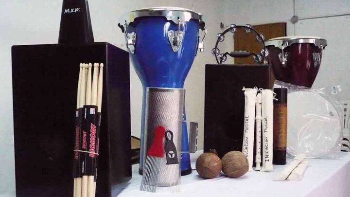 INSTRUMENTOS MUSICALES PARA LOS TALLERES CULTURALES