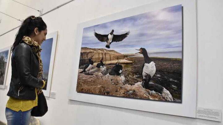 MAS ACTIVIDADES PARA EL ECOCENTRO ABIERTO 2016