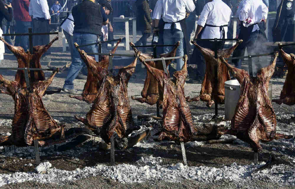 CERRO LA IX EDICION DE MADRYN AL PLATO