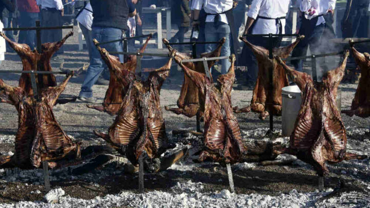 CERRO LA IX EDICION DE MADRYN AL PLATO