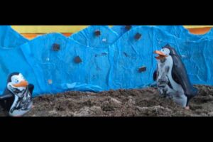 concurso-de-videominutos-4