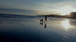 thumbnail_las-calles-3