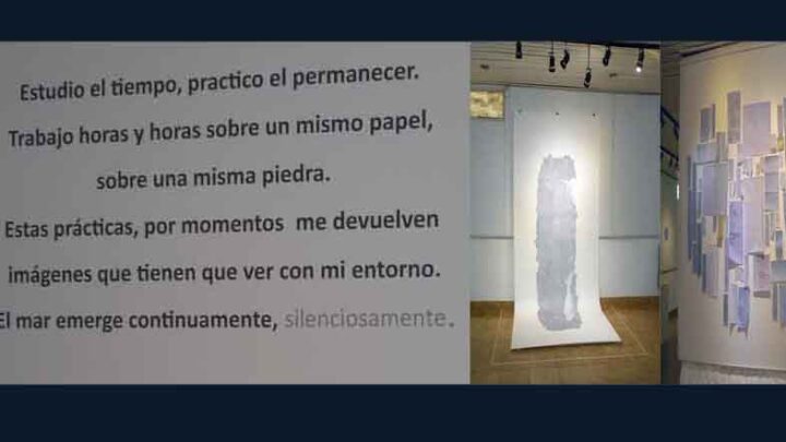 LA MUESTRA DE L. PELLEGRINI PODRÁ VISITARSE HASTA EL 9 DE ENERO