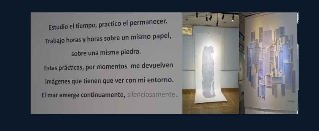 LA MUESTRA DE L. PELLEGRINI PODRÁ VISITARSE HASTA EL 9 DE ENERO